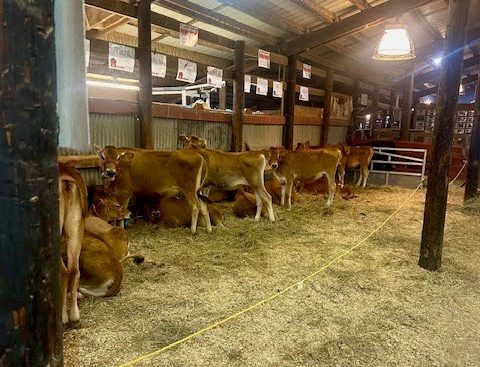 Macon County Fair Marks 70 Years of Community Fun